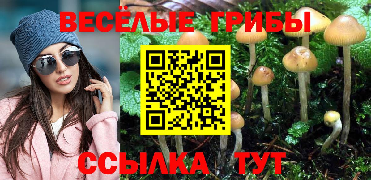 Псилоцибиновые грибы ЛСД  Псилоцибиновые грибы GOLDEN TEACHER  Вход с VPN  Карабулак 
